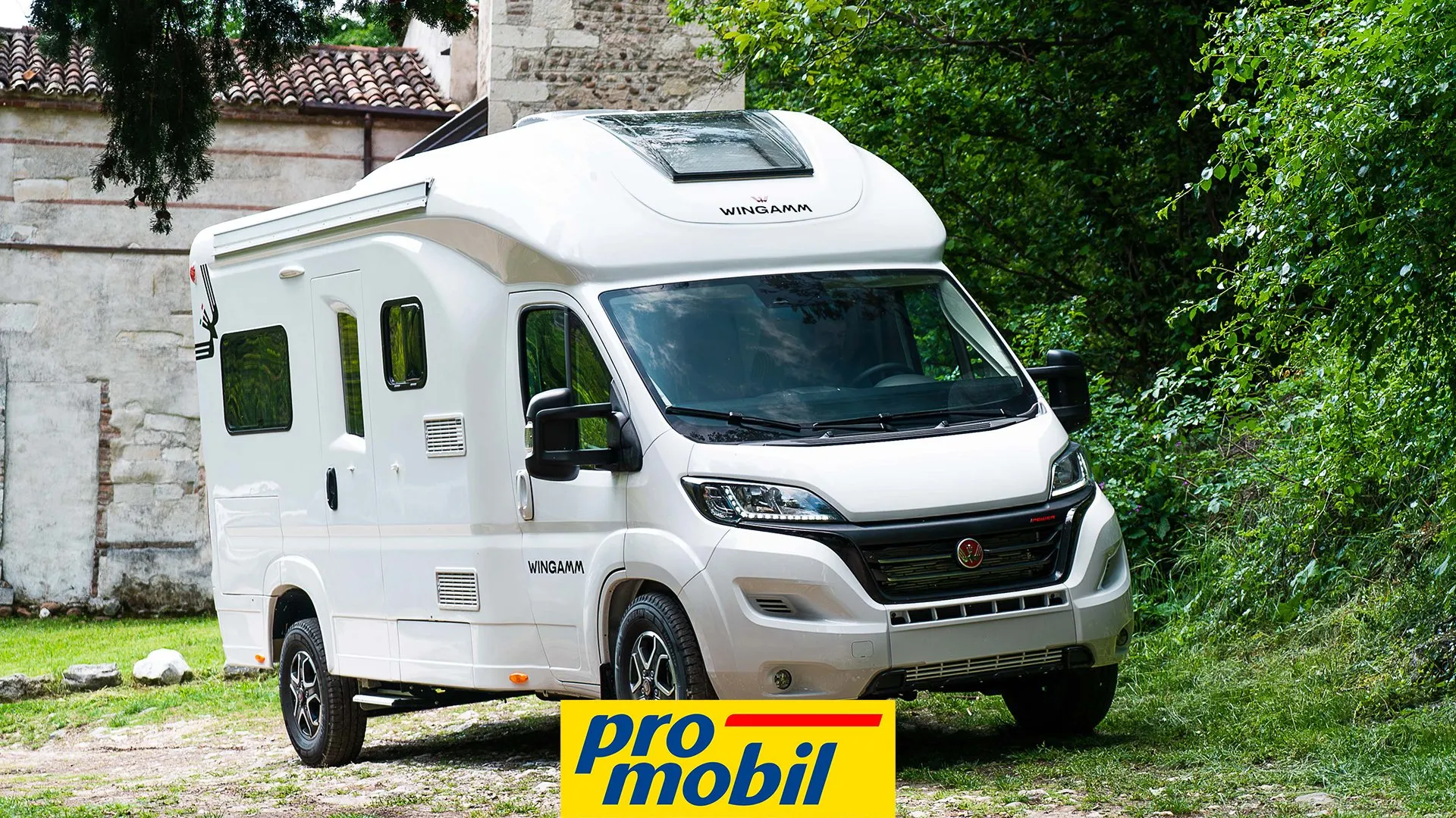 camper oasi 610 M bianco nella natura